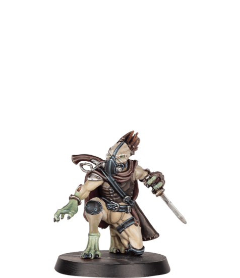 Kroot Stalker Image