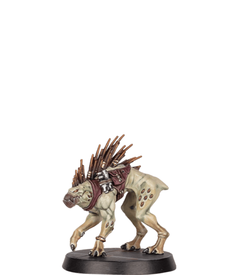 Kroot Hound Image