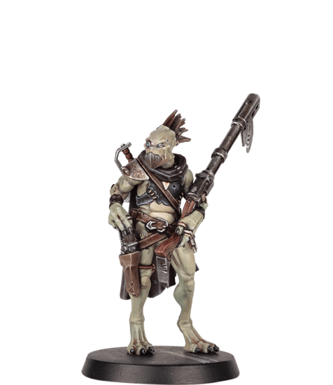 Kroot Warrior Image